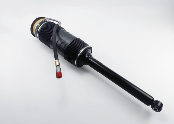 2213200313 2213208913 W221 Arka Sol Hidrolik Damper Absorber ABC Strut Mercedes Benz S Sınıfı için